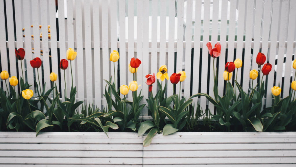 updating-your-fence-for-spring-mckown-pressure-washing