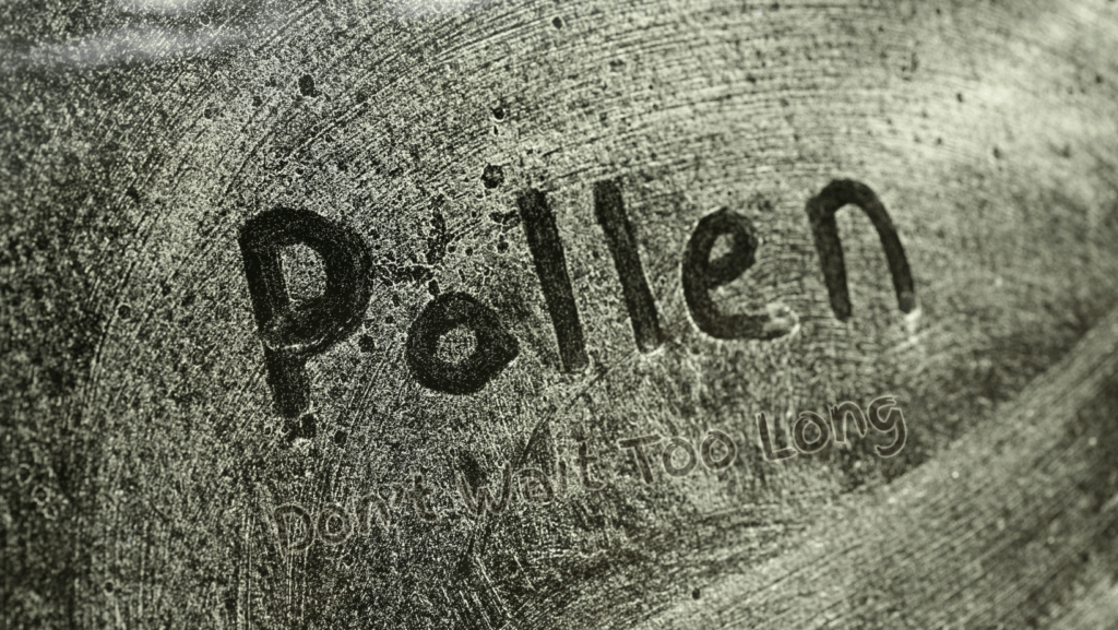 pollen-and-your-home-mckown-pressure-washing