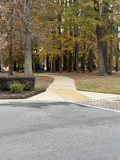 Photo from customer review