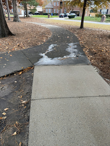 Photo from customer review